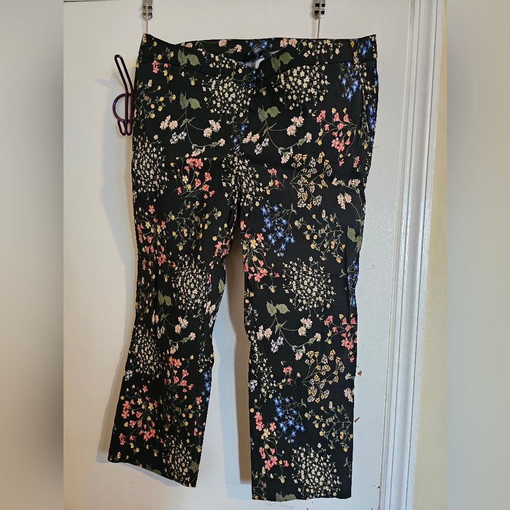 Women's pants